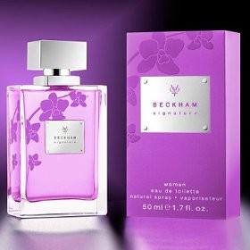 Women DAVID BECKHAM  SIGNATURE