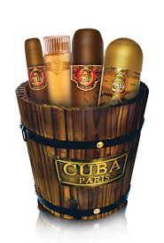 BY CUBA CUBA TIGER(W)(BUCKET)4PC SET