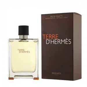TERRE D(HERMES BY HERMES Perfume By HERMES For MEN